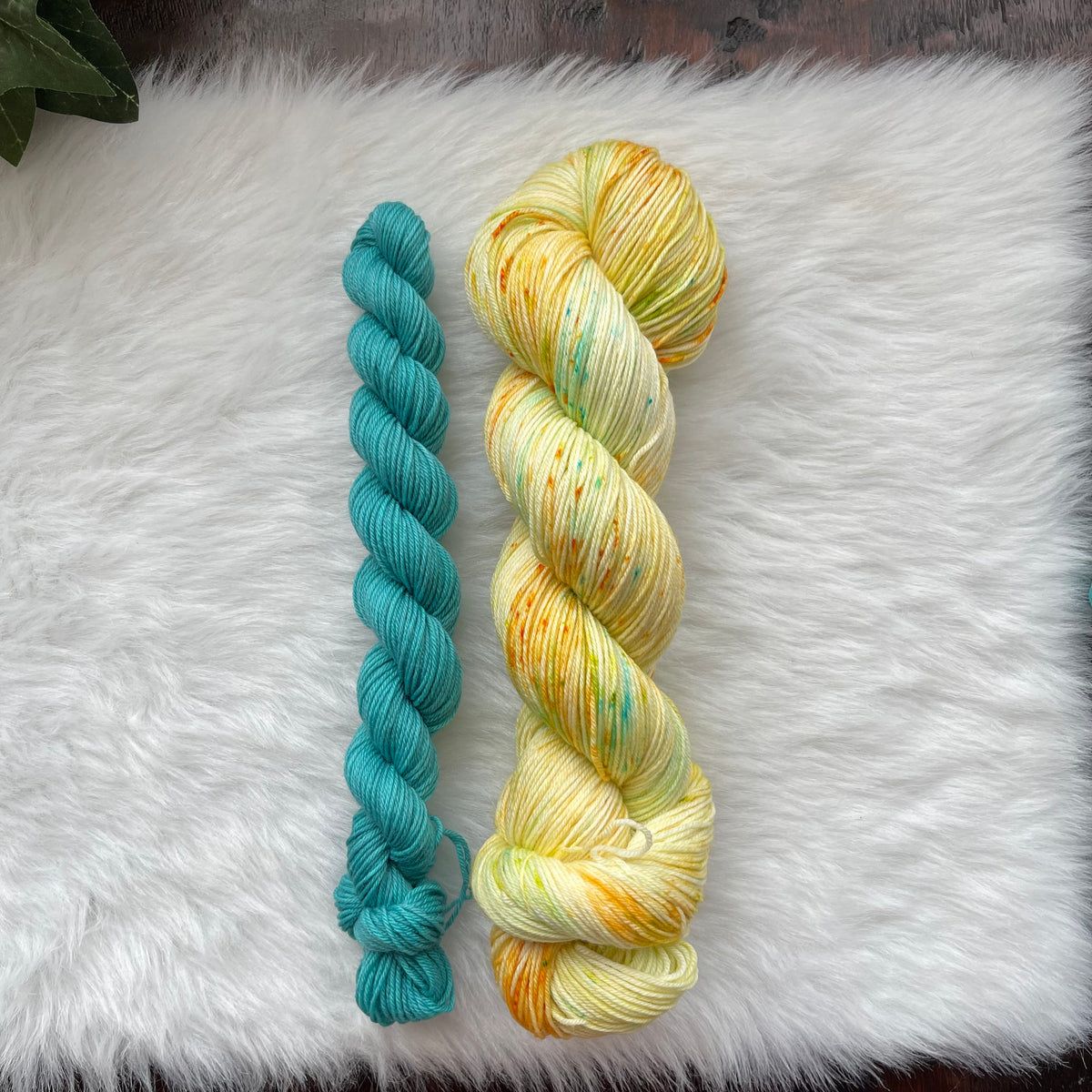 THE DRAGONFLY INN SOCK SET - Handdyed sock yarn and mini skein
