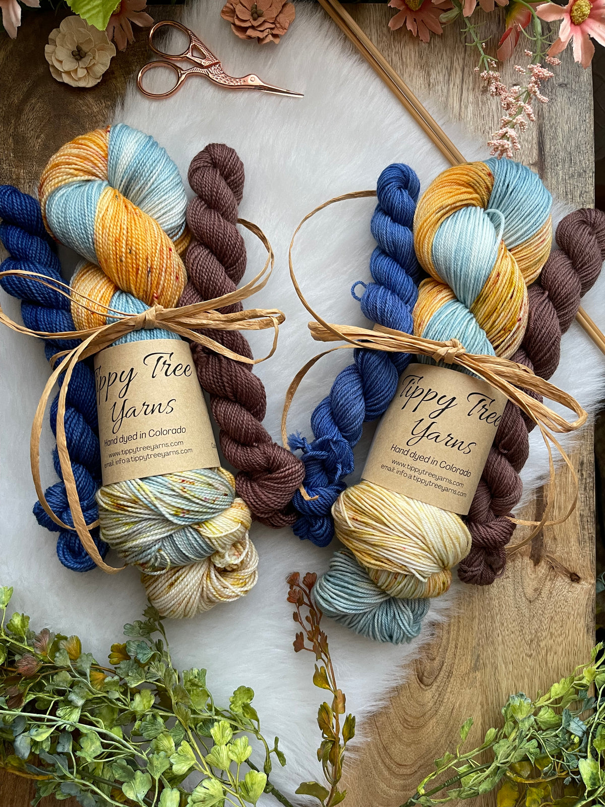 CAMPOUT - OOAK Super Sock Set Yarn - 2 Minis