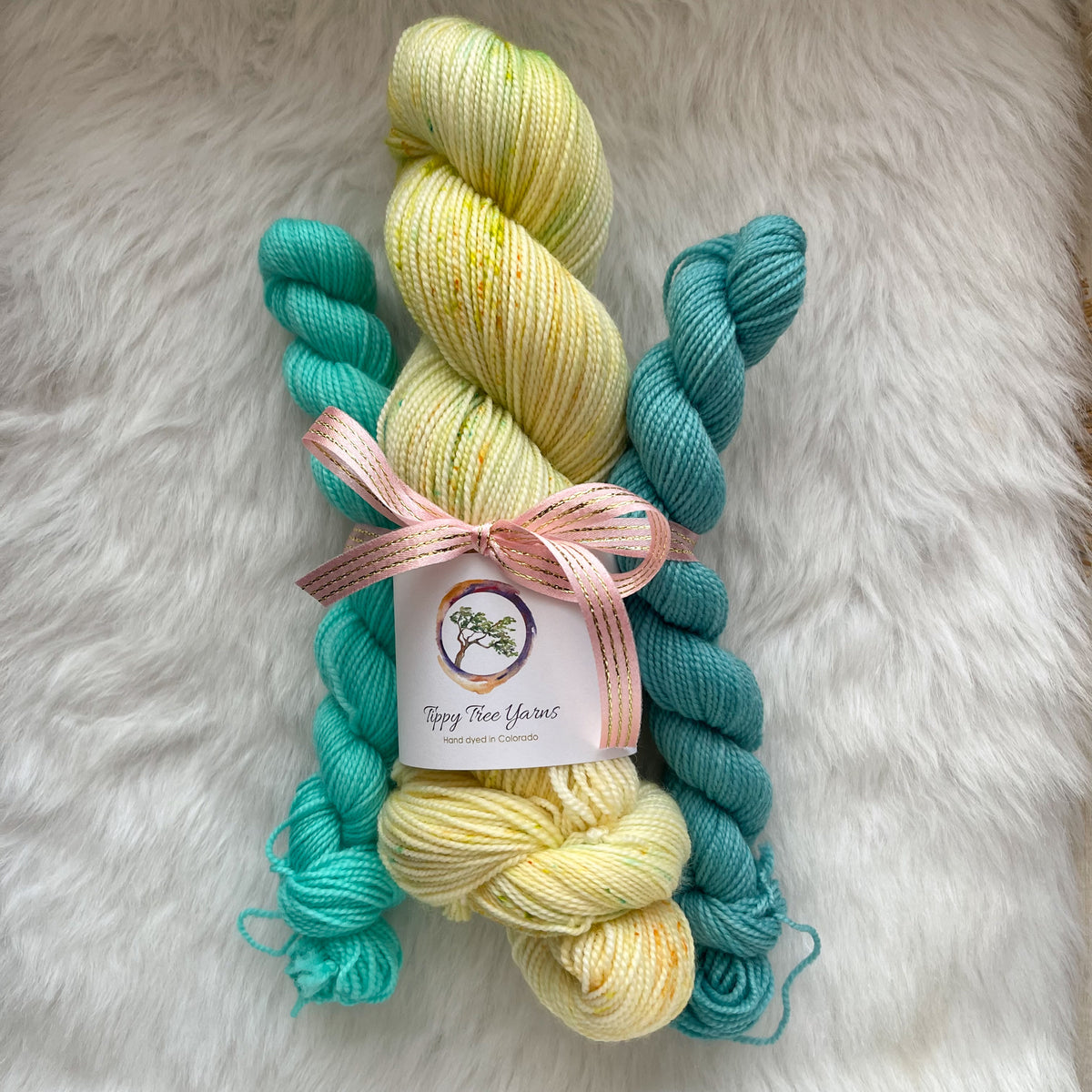 THE DRAGONFLY INN - Tippy Sock Set Yarn - 2 Minis