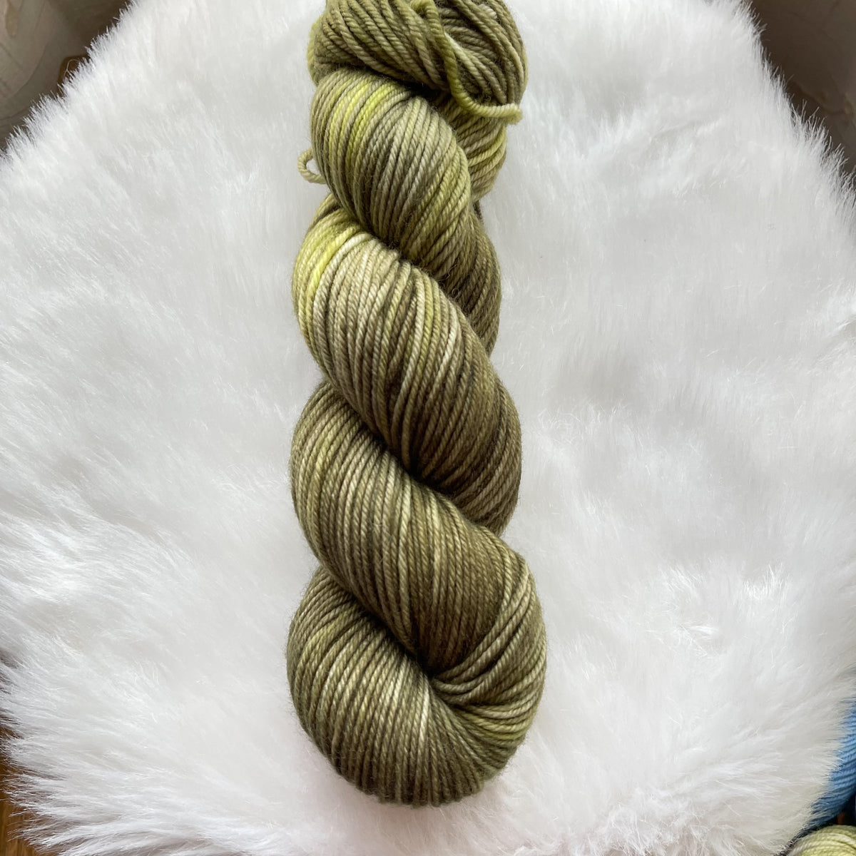 PICKLES  -Ready to Ship - Super DK- Hand Dyed Yarn Skein
