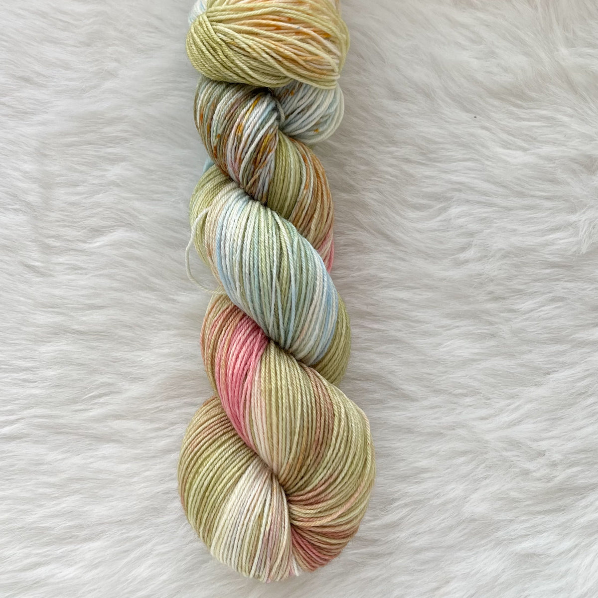 PETER RABBIT   -Ready to Ship - BFL Sock- Hand Dyed Yarn Skein